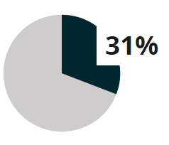 pie chart showing 31%