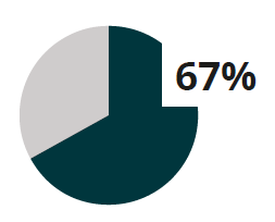 Pie chart showing 67%