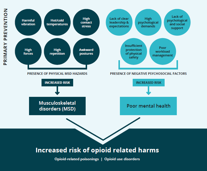 opioid poster flow chart