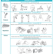 MSD hazard summary sheet thumbnail