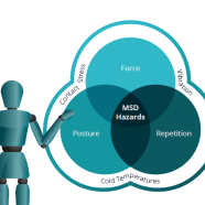 mannequin with MSD hazards no background