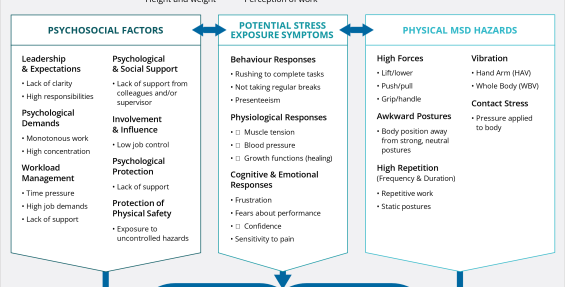 Flow chart from  Psychosocial Factors, MSD and Mental Health poster